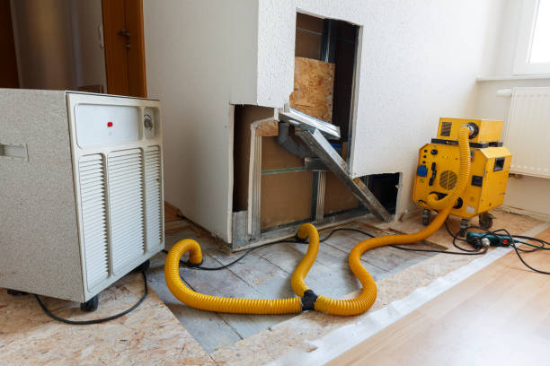 Best Environmental Consulting for Mold Prevention  in Kingwood, WV